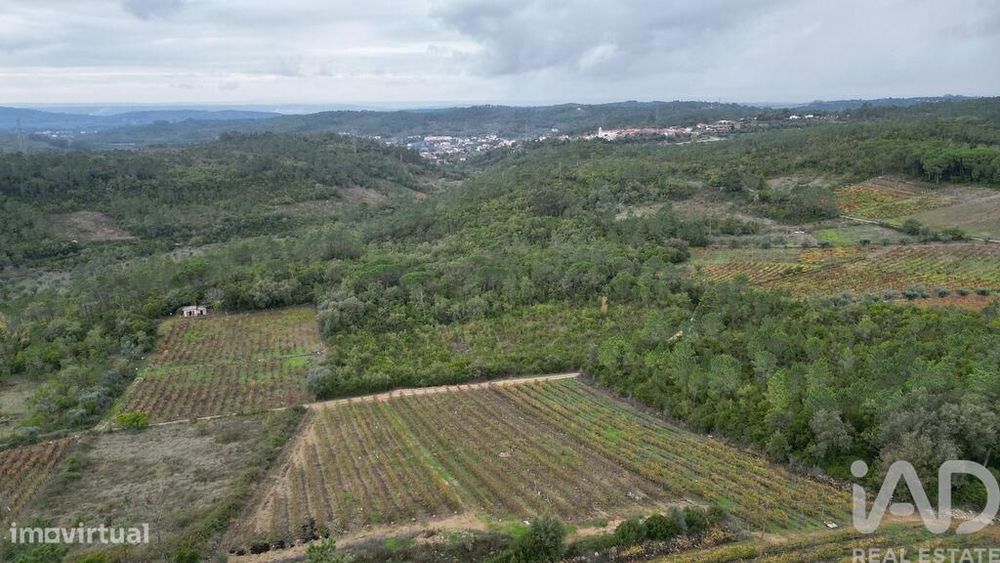 Terreno Agrícola em Condeixa-a-Velha e Condeixa-a-Nova