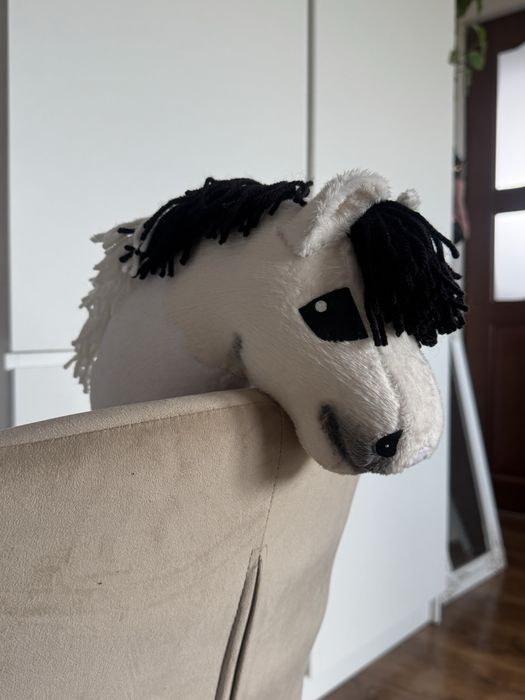 Kucyk hobby horse