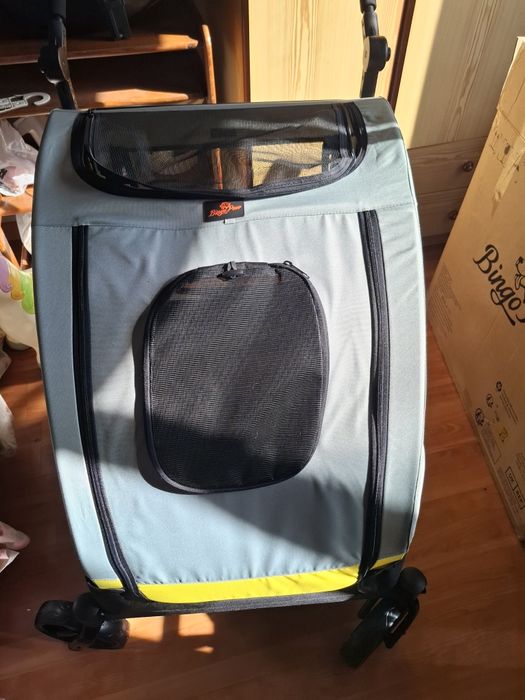 Carro passear animal estimação