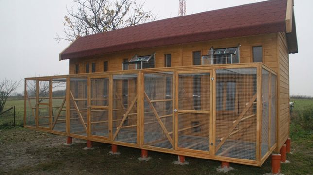 Голубятня своими руками: как построить, чертежи и фото голубятника