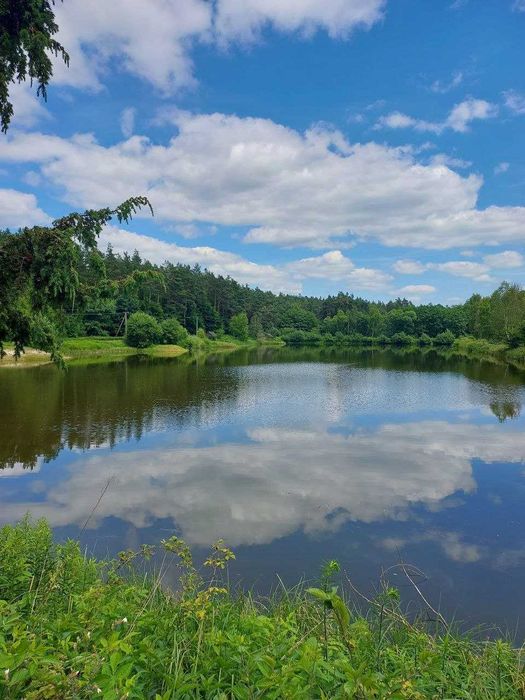 Продаж ділянки с. Верещеця Яворівського рн.