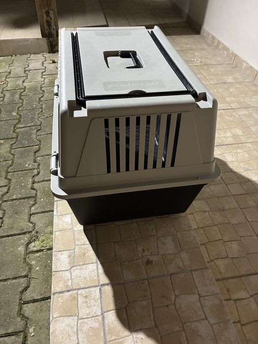 Caixa transporte animais