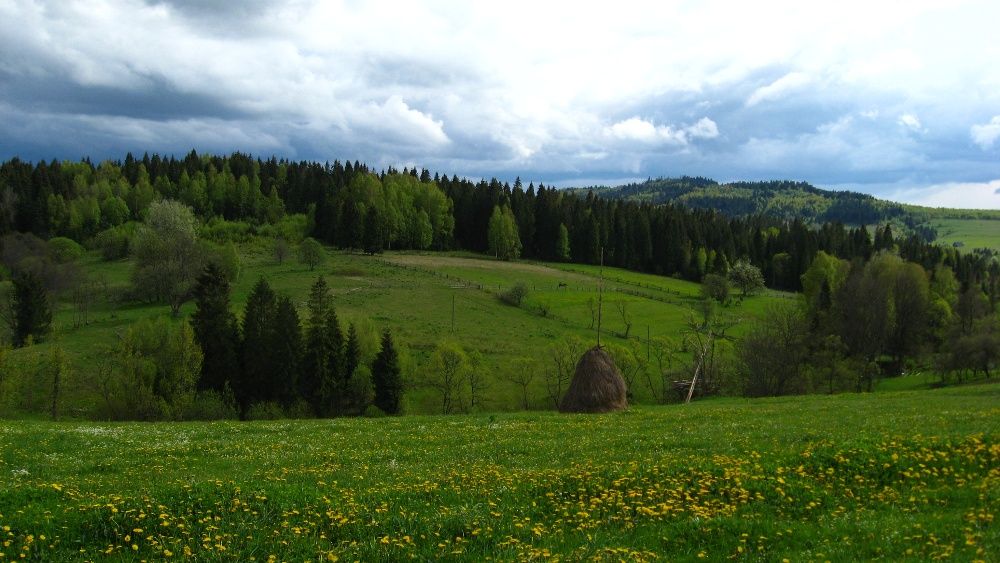 Відпочинок в Карпатах