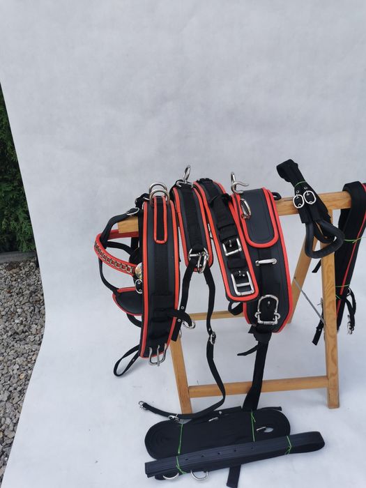 Uprząż pojedynka shetland