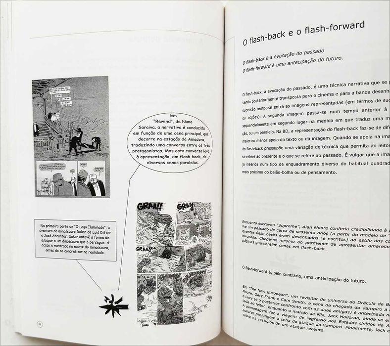 A Linguagem da BD – Cadernos Pedagógicos, nº1, Edição da Câmara Municipal da Amadora, 1ª edição, 2000.