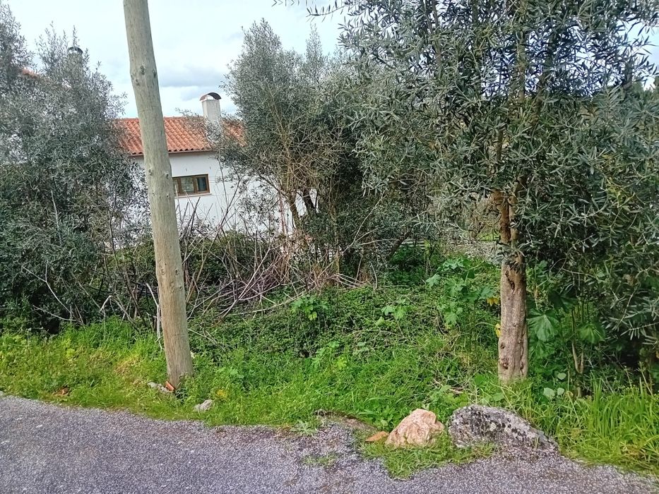 Moradia em ruínas para reconstrução