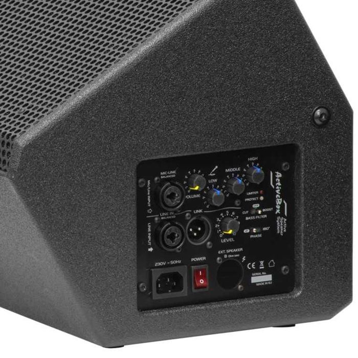LDM APS308P kolumna aktywna 300W RMS aktywny monitor sceniczny APS308P