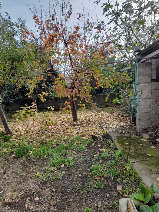 Casa em Freixo de Espada à Cinta