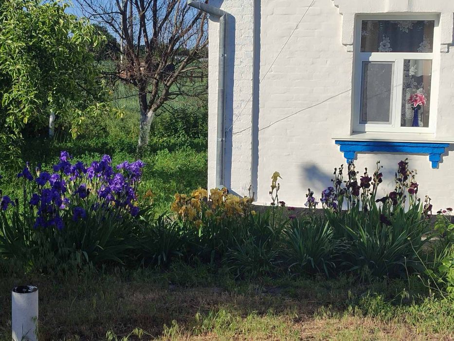 ТЕРМІНОВО‼️продам будинок в селі Лосятин !