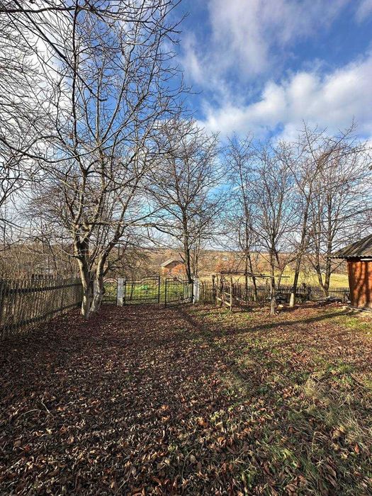 Продаж будинку с.Вікторів +43 сот землі. всі комунікації є.