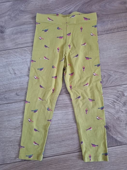 60. Next! Legginsy w ptaszki kolorowe r. 98 długie spodnie