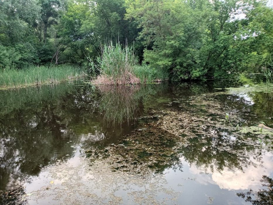 Продається будинок