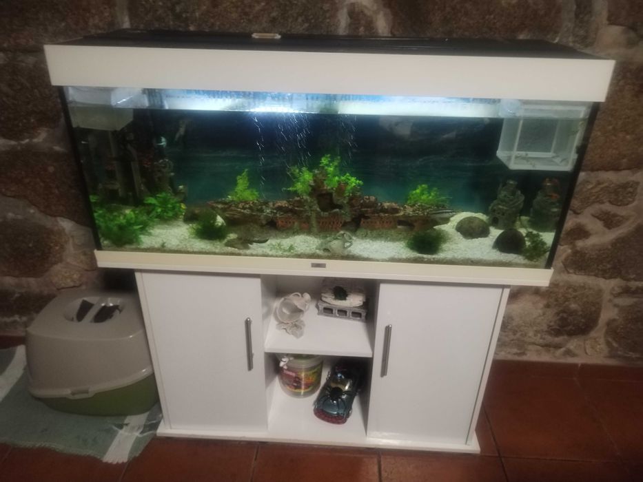 Aquário completo