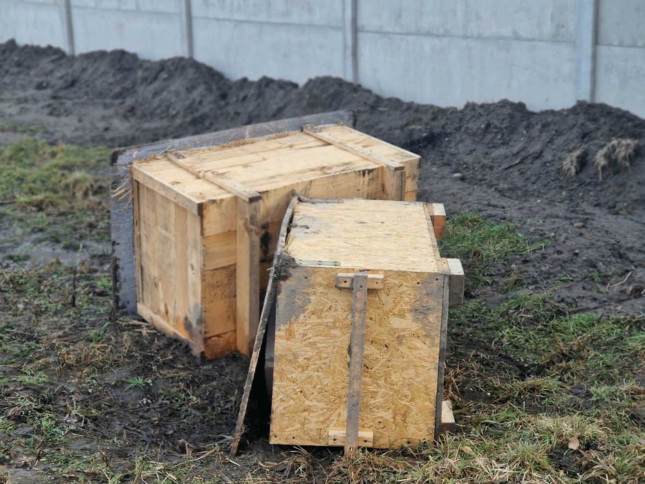 Koteczka Nela, przeganiana przez ludzi szuka domku