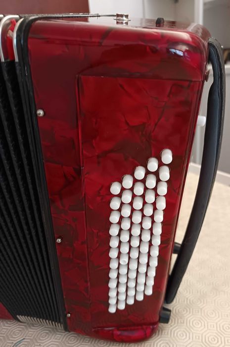 Acordeão para iniciação