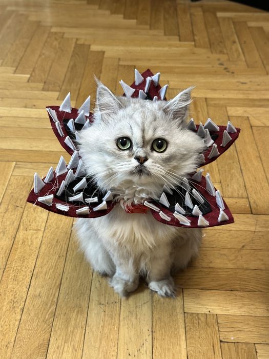 Нашийник демогорген дивні дива