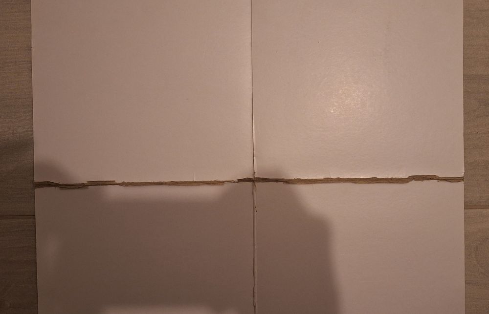 Jogo Damas SL Benfica