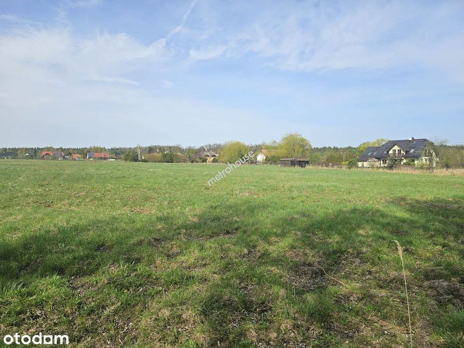 Działka Budowlana 1462 M² | Dobiesz | Piękne Brzozy | Dojazd Z 2 Stron - View 5