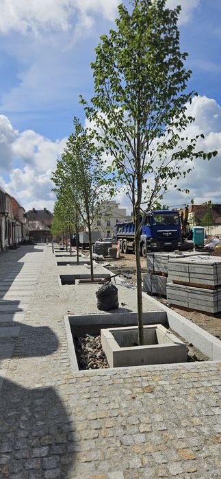 Projektowanie ogrodów, usługi ogrodnicze