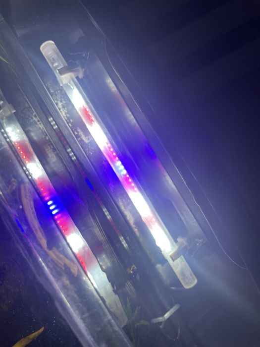 Akwarium 54 l panoramiczne okazja