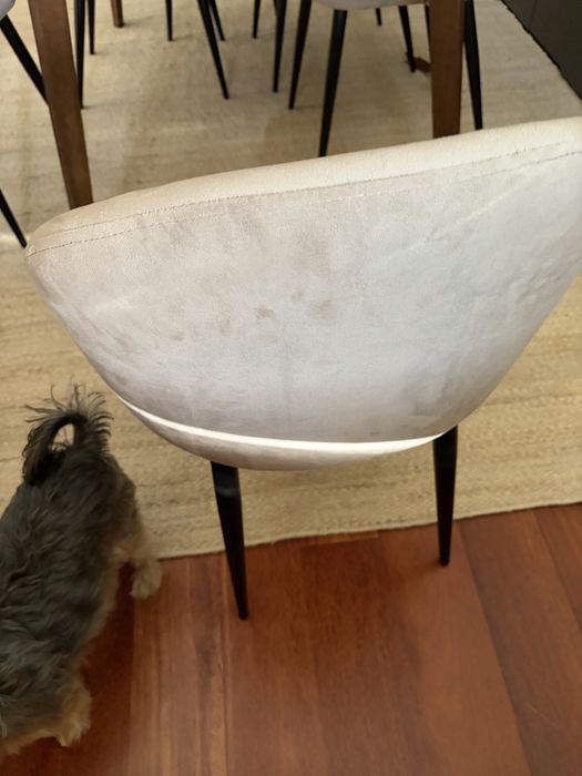 CADEIRÃO / CADEIRA  para uso variado, para a mesa de jantar…