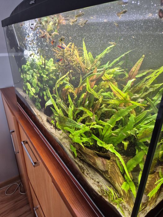 Akwarium 112l cały zestaw
