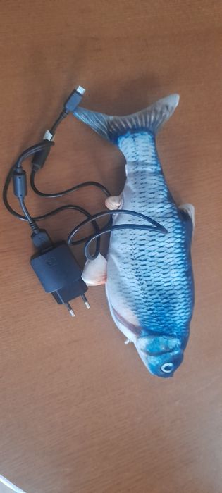 Ryba dającą odgłosy