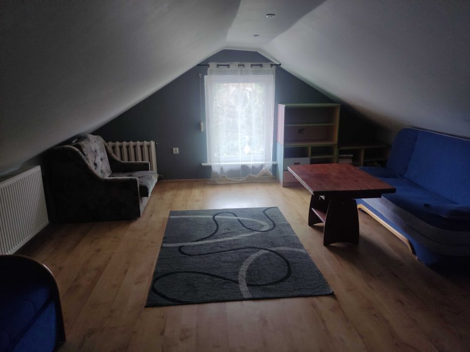 domek do wynajęcia