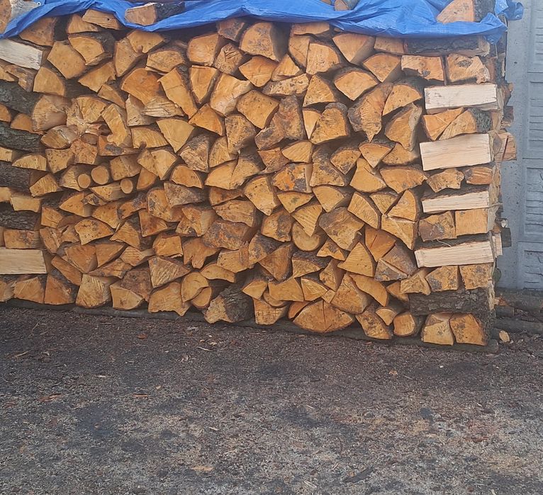 Drzewo kominkowe Olcha