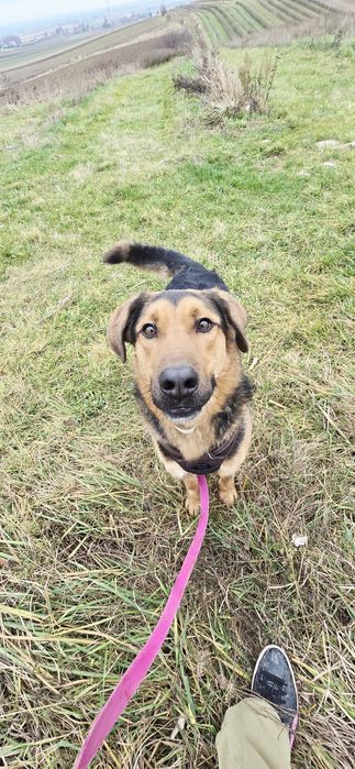 Wiktor wiecznie uśmiechnięty