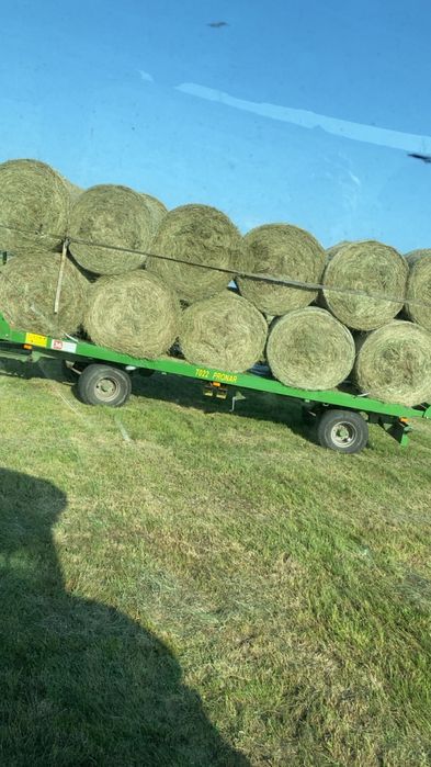 Siano1/2 pokos 125x125