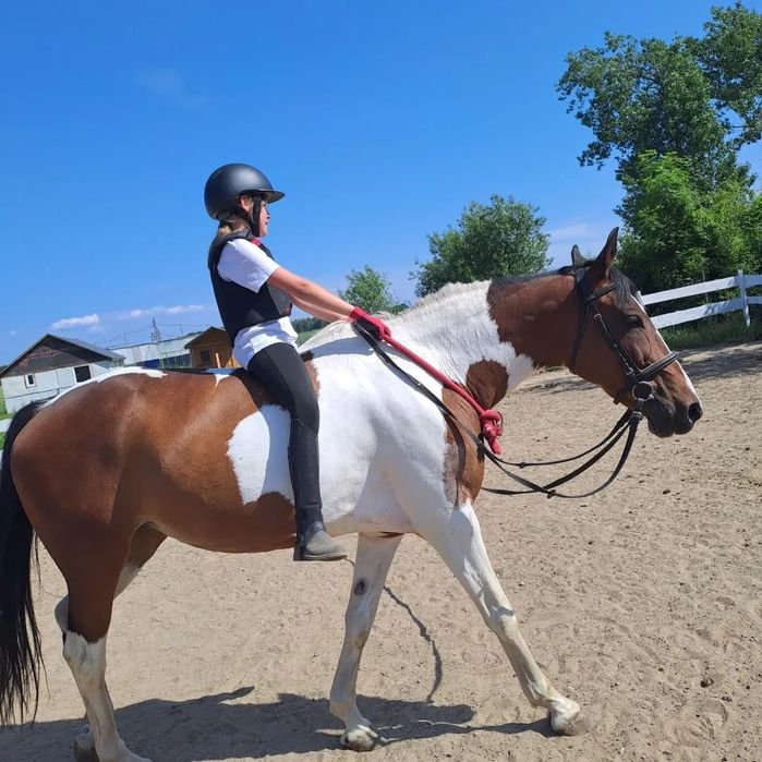 Sprzedam klacz sport/rekreacja/Hipoterapia