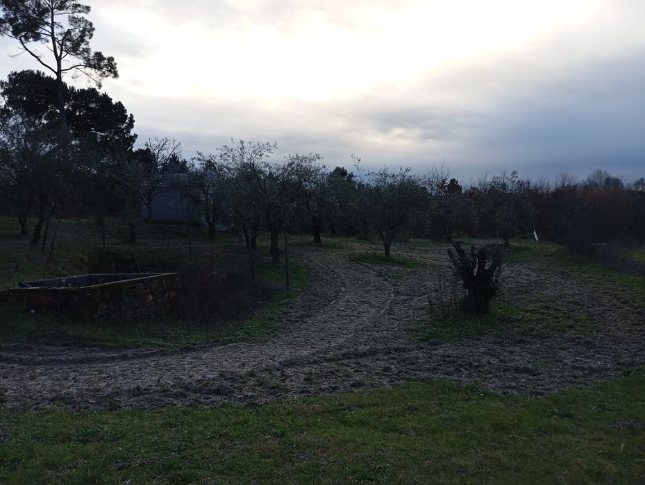 Terreno Agrícola - Vilar Seco