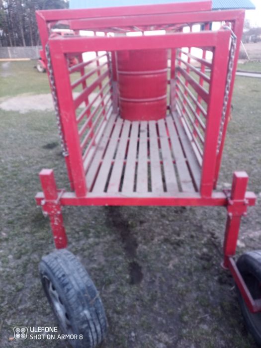 Scelarka do truskawek