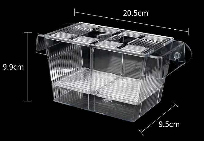 Caixa isolamento peixes aquário peixes bebes incubadora NOVO