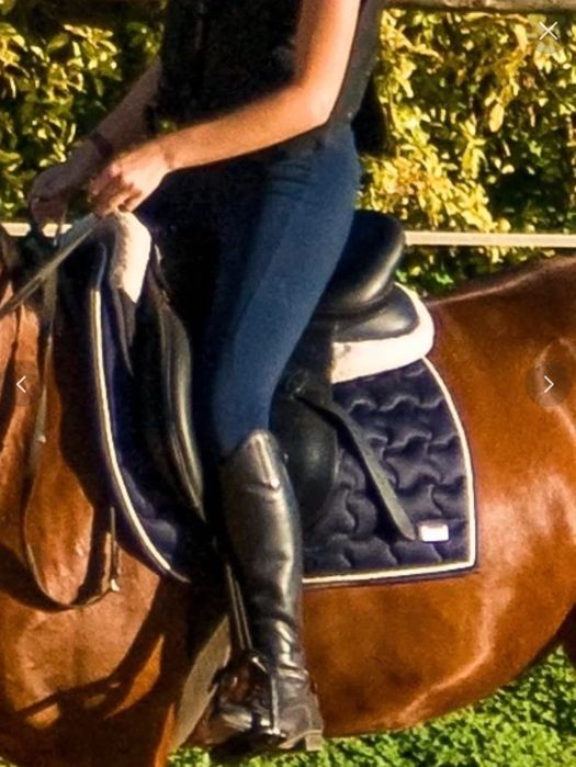Suadouro Harry's Horse Navy Salto/GP