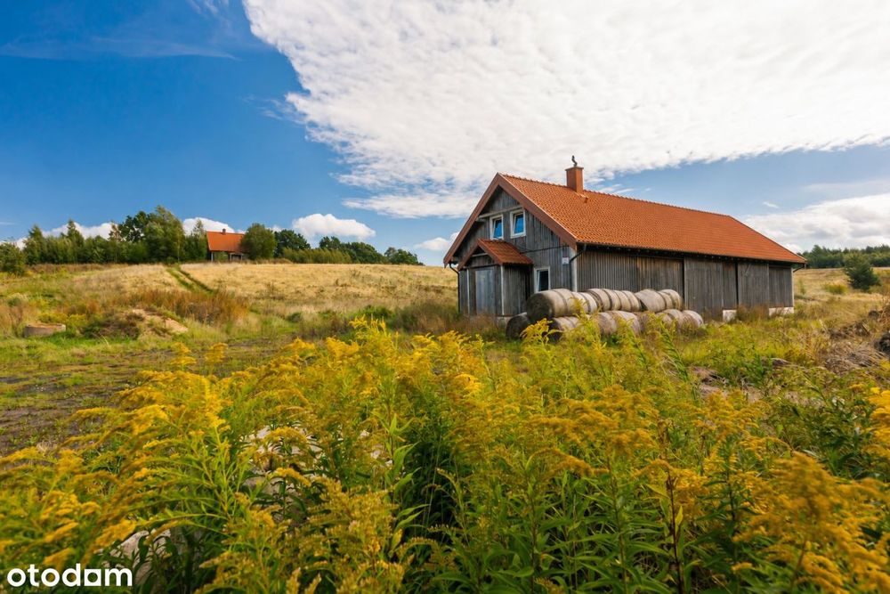 Działka Rolna |13,6 HA | Warmia | WZ | Szyleny