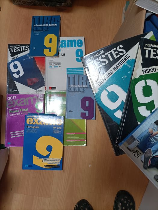 Cadernos de atividades do 9 ano e preparação para testes