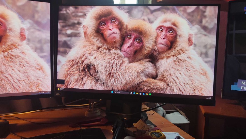 ACER PREDATOR XB271HK (4K) Monitor64585746810753123