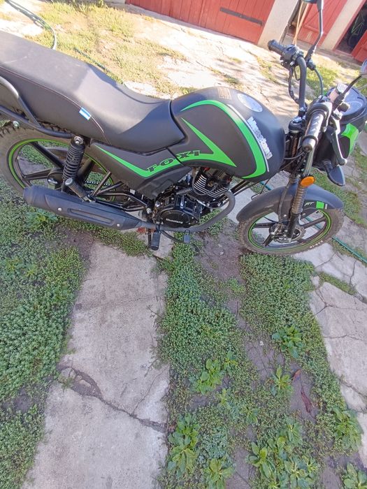 Мустанг Foxi 150 2024