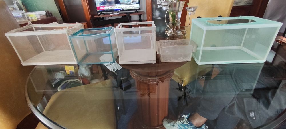 Vendo 5 maternidades de vários tampas