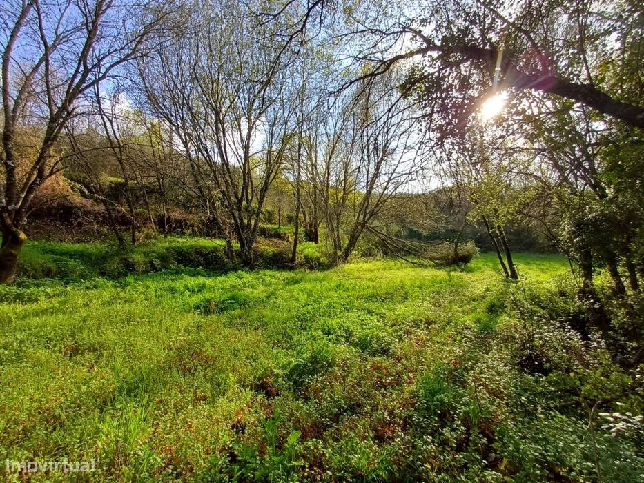 Quinta situada em plena natureza