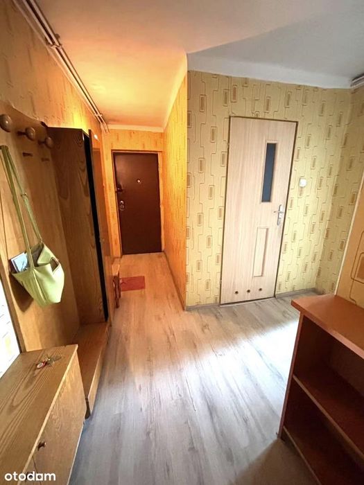 Ruda Śląska Orzegów ul. Królowej Jadwigi⭐ 52 m2 // 2 pok + kuchnia !