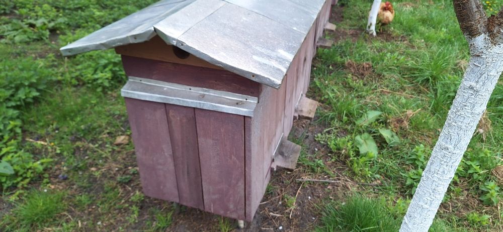 Вулики українки не дорого