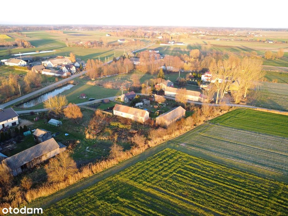 Działka Marysin gm. Kotuń 1483 mkw