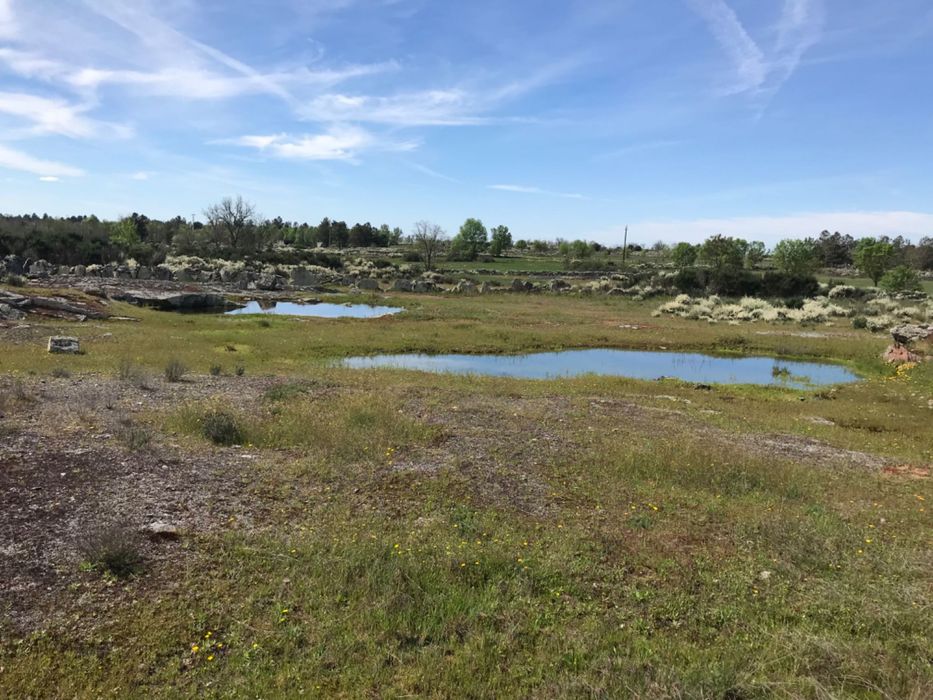 Quinta com 4 Hectares