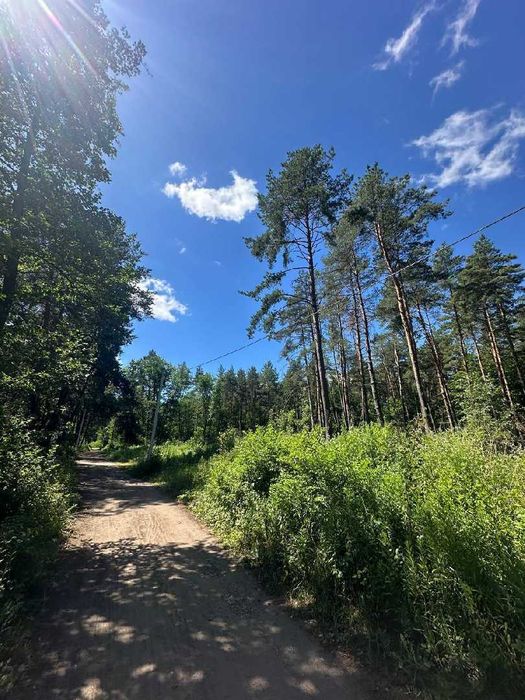 Продаж землі Брюховичі за вул. Незалежності України.Поруч ліс