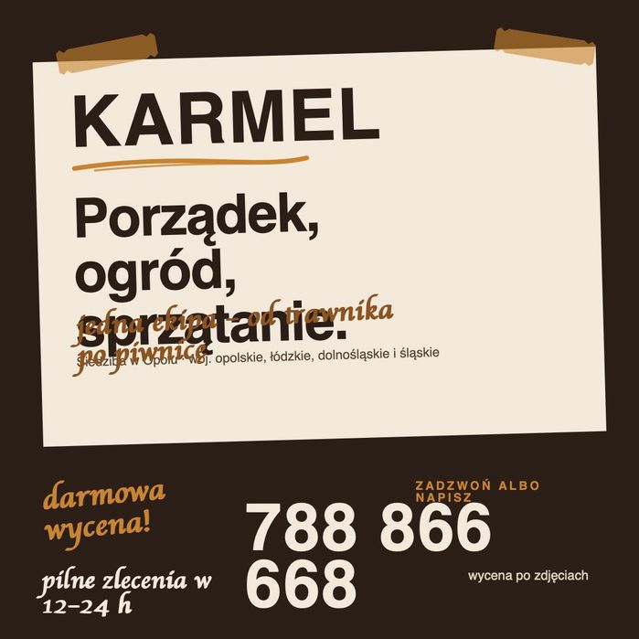 Ogród, sprzątanie, porządek – dla firm i prywatnie. Darmowa wycena