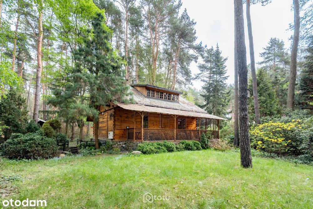 Dom – Topolina - Widok 5