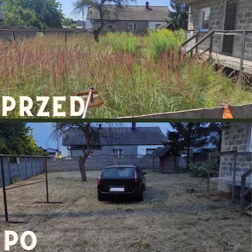 Usługi ogrodnicze, Przycinanie, formowanie, koszenie traw